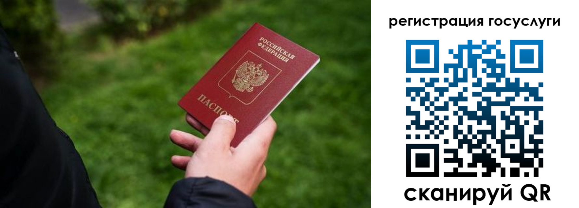 прописка в Гороховце